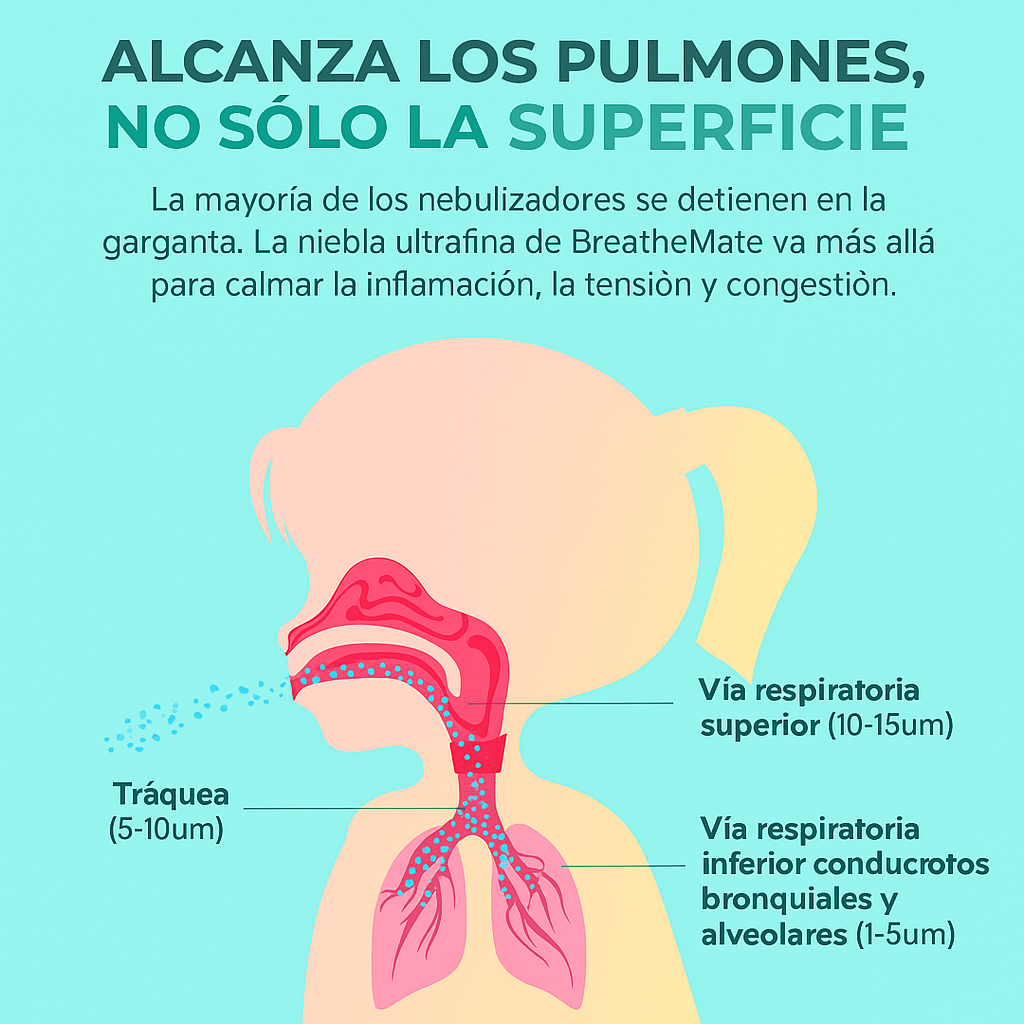 Nebulizador portátil